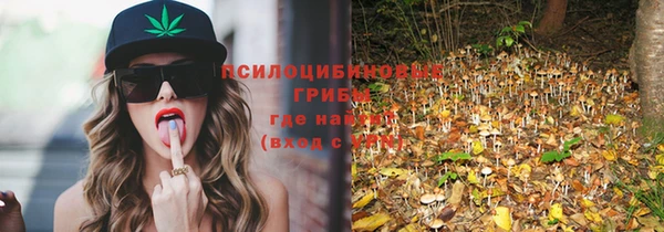 круглые Алексеевка