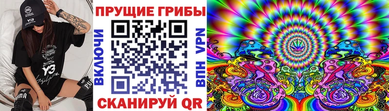 Псилоцибиновые грибы Cubensis  Павлово 
